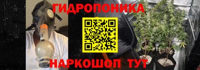 СК Славгород